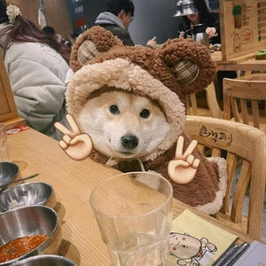 Meet your Posher, Khang